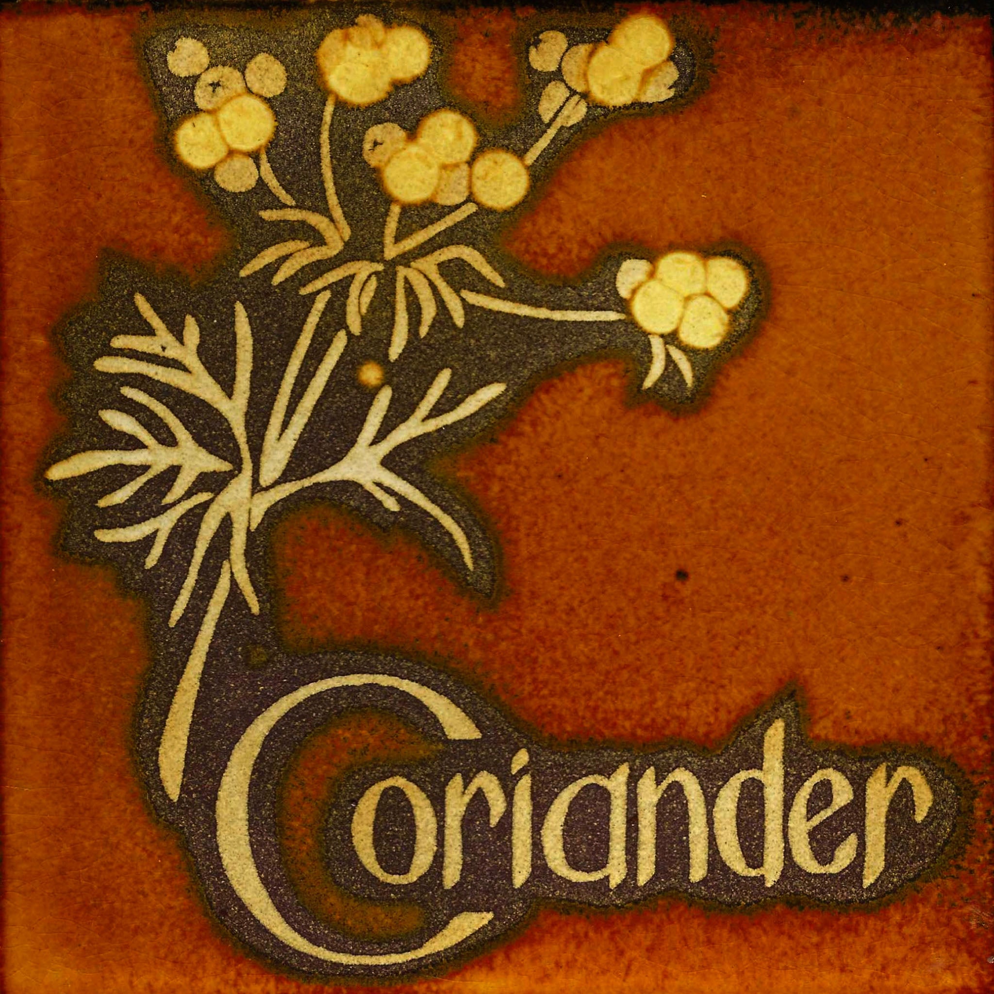 Pilkington's Kitchen Tile — Coriander