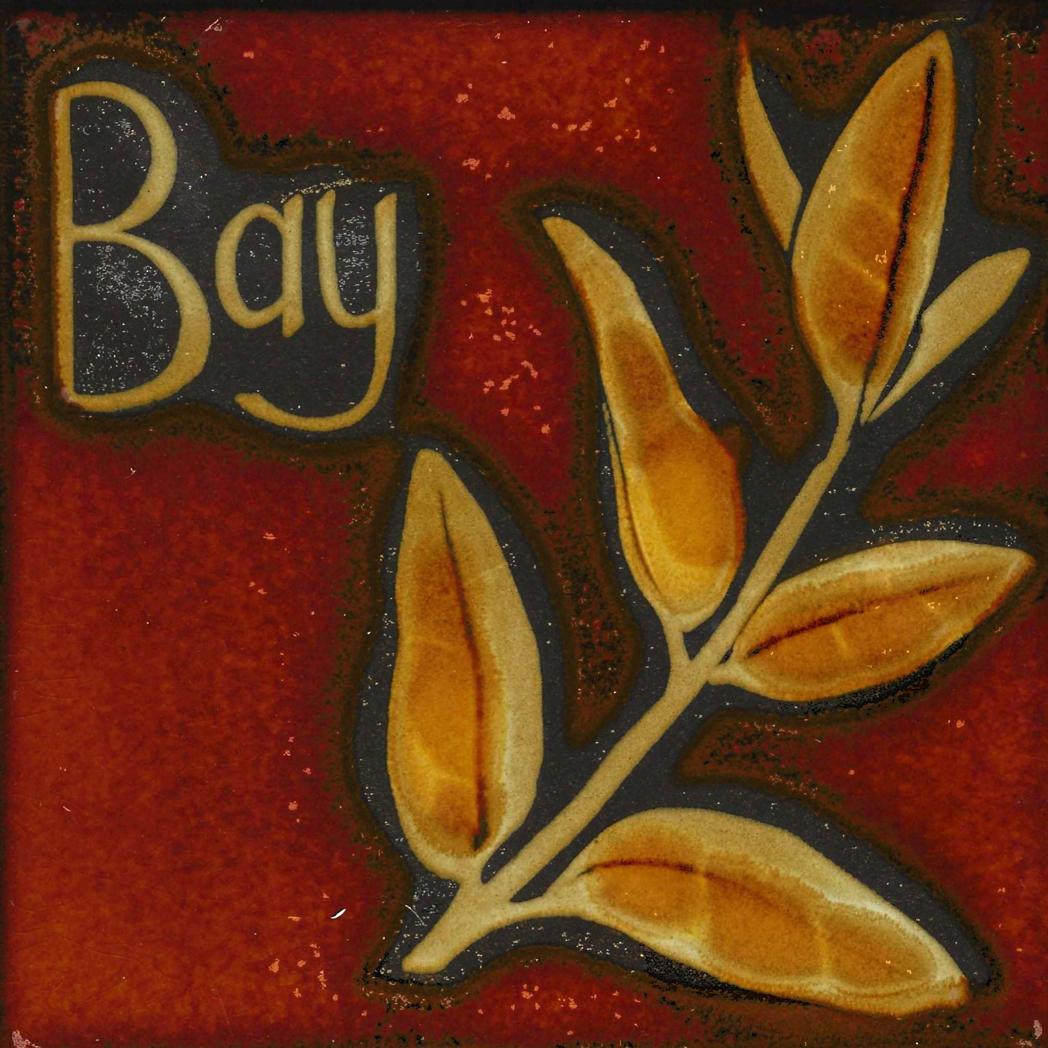 Pilkington's Kitchen Tile — Bay