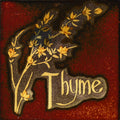 Pilkington's Kitchen Tile — Thyme